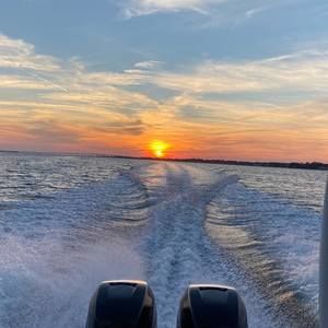 Meet your Posher, Ronnie